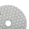 Круги алмазні полірувальні Круг 100x3x15 CleanPad #100